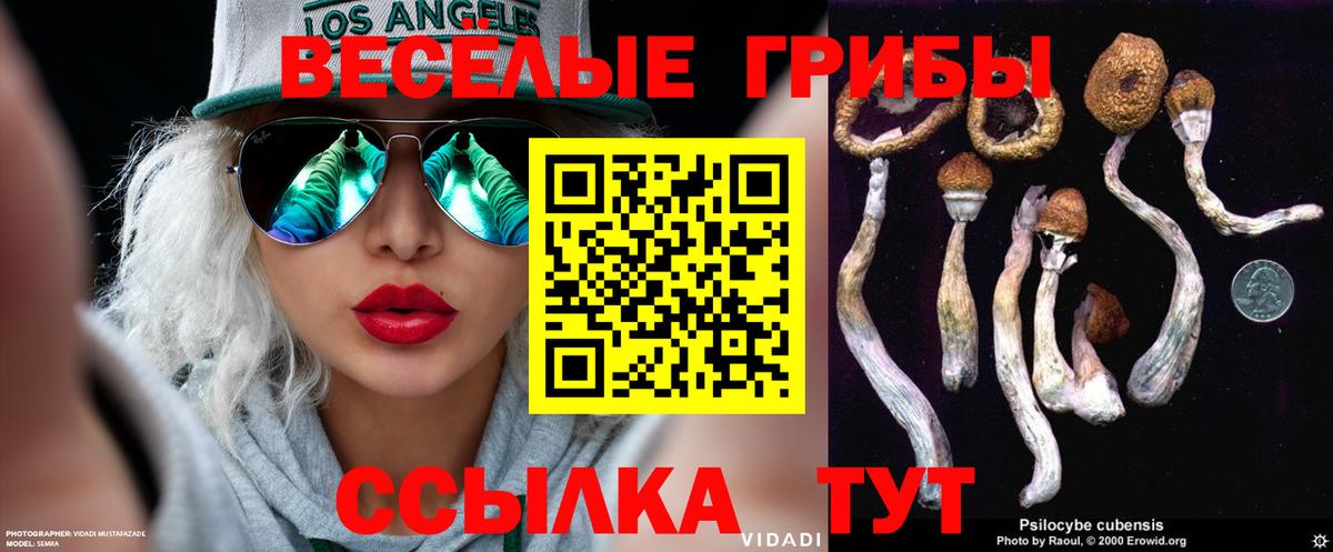 купить  цена  Галлюциногенные грибы Psilocybine cubensis  Вход с VPN  Заринск 