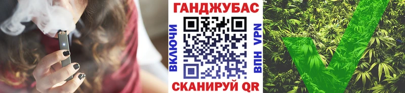 Бошки Шишки Amnesia  как найти   Заринск 